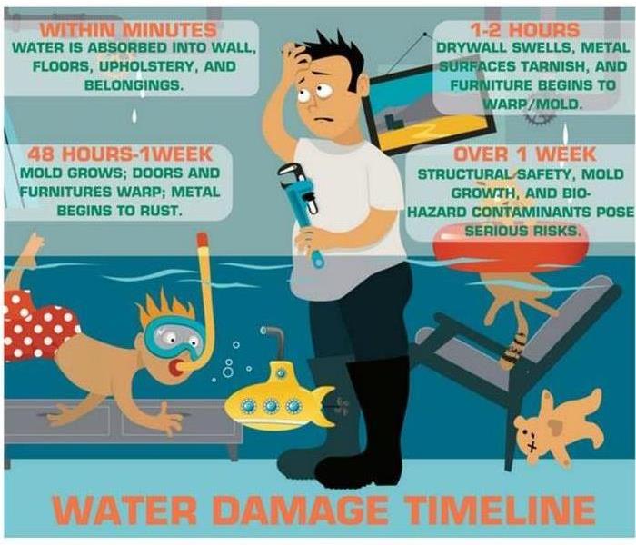 Water Damage Timeline